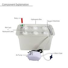 Xiaolanwelc 6 Holes Plant Site Hydroponic System 220v Indoor Garden Cabinet Box Grow Kit Bubble Garden Pots Planters Nursery Pots Buy Online In New Caledonia At Newcaledonia Desertcart Com Productid 59500409