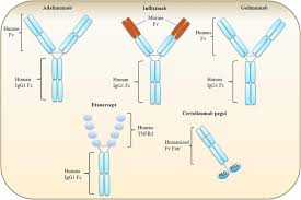 Image result for TNF Inhibitor
