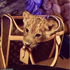 Maybe you would like to learn more about one of these? Ultima FiÅ£Äƒ Pe ReÅ£elele Sociale AratÄƒ Mi Ce Animal De Companie Exotic Ai Ca SÄƒ Å£i Spun Cat De Bogat Esti Foto