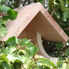 Image result for Flyte Blackbird Nest Box