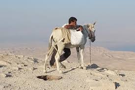 Israel, tel aviv, allenby, 128. Tripadvisor Judean Desert Safari Jeep Tour From Jerusalem Or Tel Aviv Provided By Click Tours Israel Tel Aviv District