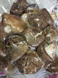 Tumis jamur shitake jamur shitake jamur salju jamur shimeji jamur shitake krispi. Hari Hari Masak Cendawan Shiitake Kering Bahan Bahan Facebook