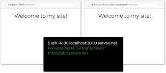 Serveo Expose Local Servers To The Internet Using Ssh Port Forwarding Dns Records Server