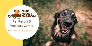 Pensacola pet resort is pensacola's first and only boarding facility to cater to large dogs over 40 lbs. The Woof Wagon Pet Boarding Resort And Veterinary Clinic