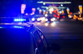 Pin By Meghara On Nopixel Gtavrp K 9 Police Car Lights Police Cars Car Lights
