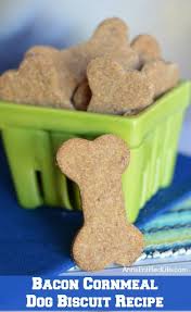 Bacon Cornmeal Dog Biscuit Recipe Dog Biscuit Recipes Healthy Dog Treats Homemade Dog Treats Homemade Recipes
