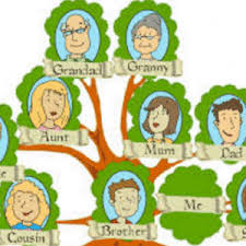 Family Tree Anggota Dan Sisilah Keluarga Dalam Bahasa Inggris Artinya