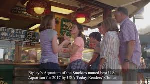 We did not find results for: Gatlinburg Convention Center Youtube