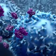 This is why life expectancy often depends on whether a person is treated at a specialized cancer center where they have access to the best mesothelioma doctors. Mesothelioma Treatment Centers Org