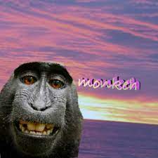 Monkeh - YouTube