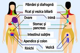 Durere abdominala in partea stanga sub coaste: Durere De Genunchi Partea Stanga Move Flex Gel In Romania