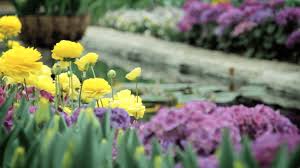 Check spelling or type a new query. Allen S Home Of Funerals Inc Oxford Nc Funeral Home And Cremation