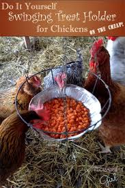 Diy Swinging Treat Holder For Chickens On The Cheap Tavuk Kumesleri Tavukculuk Kumes Tavukculugu