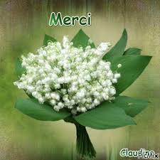 Pin By Sylvia Schuurman On French Merci In 2020 Beautiful Greeting Cards Plants Cards