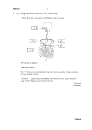 Format pt3 reka bentuk dan teknologi (71). Contoh Pt3 Sains Articlefile File 003471