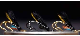 Antrim Fly Fair at Shanes Castle 25th & 26th June 2022