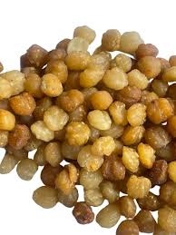 Image result for Ricinodendron