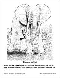 Fun Facts And Printables About Elephants And Elephant Babies Elephant Coloring Page Elephant Face Drawing Animal Coloring Books