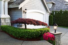 Learn all about burning bush pruning, care and landscape ideas. Fall Landscaping Ideas Your Garden Inc
