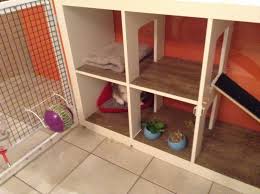 Pin On Our Bunny B B