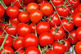 We did not find results for: Kurangi Risiko Kanker Ginjal Dengan Tomat