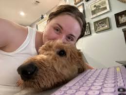 Anyone know pet sitting service to come visit our home for four cats?