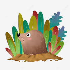 Apa saja penyebab kepala pusing? Gambar Tahi Lalat Pohon Rumput Rumput Png Transparan Dan Clipart Untuk Unduhan Gratis