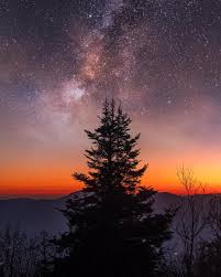 Don T Let The Sun Go Down On Me Lyrics Meaning This Is My First Creative Image Creative Meaning It S A Composite Of Two Shots The Lone Tree In The Foreground And Nighttime Sky Milky Way Night On Earth