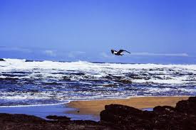 Strand Von Wilderness In Sudafrika Travelworldonline Traveller Parks Strand Reisen