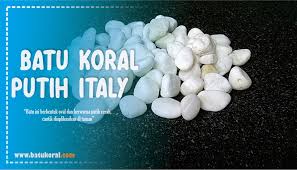 We did not find results for: Jual Batu Koral Putih Italy Jual Koral Di Jabodetabek Jual Batu Alam Murah Tangerang Dan Jakarta Batukoral Com