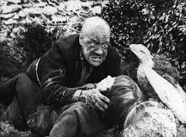 Image result for Maxine Great Expectations 1967
