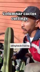 Super simple technique if you root a lot of cuttings and don’t have all the  space sorted yet. This way I can find the right pot when I need, instead of  needing 15-20 pots immediately. , Warmth, slight ...