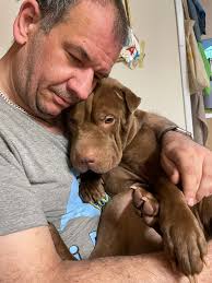 My beautiful girl Lilo ❤️