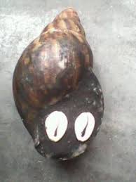 Résultat de recherche d'images pour "escargot magique"