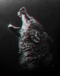 We did not find results for: Gif Grey Wolf Kurt Lobo Animated Gif On Gifer By Yozshuzil
