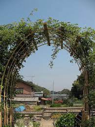 Bamboo Arch Trellis Arch Trellis Garden Arch Trellis Bamboo Trellis