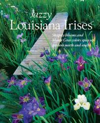 Find help and information on iris 'her highness' louisiana louisiana giganticaerulea, including varieties and pruning advice. Jazzy Louisiana Irises Zydeco Louisiana Iris Garden