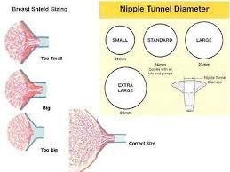 Breastpump Selection Breastshield Sizing Breastfeeding