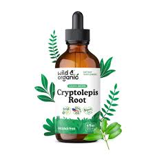 Image result for Cryptolepis products