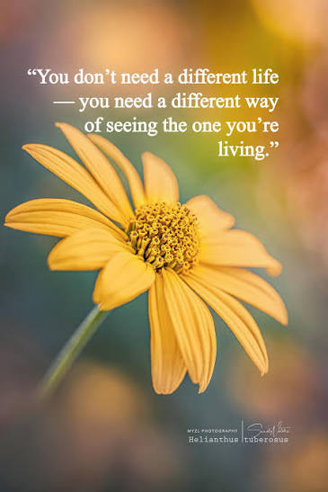 What helps you see life differently?