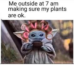 Baby Yoda Plants 7am Curlers Coffee Gardening Memes Plant Jokes Yoda Meme