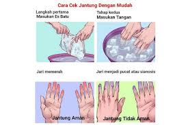 Kelima kelainan jantung dan pembuluh darah tersebut merupakan momok yang sangat menakutkan bagi setiap orang di dunia. Viral Cara Cepat Cek Jantung Dengan Air Dan Es Batu Ini Kata Dokter