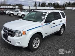 Image result for White 2008 Escape