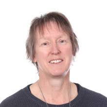 Council leadership team