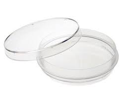 Cawan porselin adalah alat yang digunakan dalam analisa gravimetri. Cawan Petri Dan Fungsinya Blog Kimia