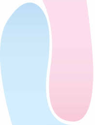 Vol.62 No.1・2 April 2017