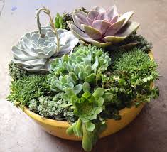 Summer Entertaining Custom Planters Sloat Garden Center Indoor Succulent Planter Succulent Planter Diy Succulent Planter