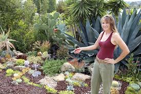 Laura Eubanks Succulent Tapestry Design Secrets Succulent Garden Design Succulent Landscaping Succulent Landscape Design