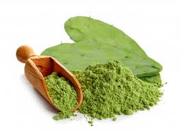 Commonly referred to as prickly pear cactus, the nopal cactus has traditionally been used in the southwest to support good health.+ Nopal Stop Karmouss