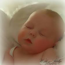 Willow Ridge Photography